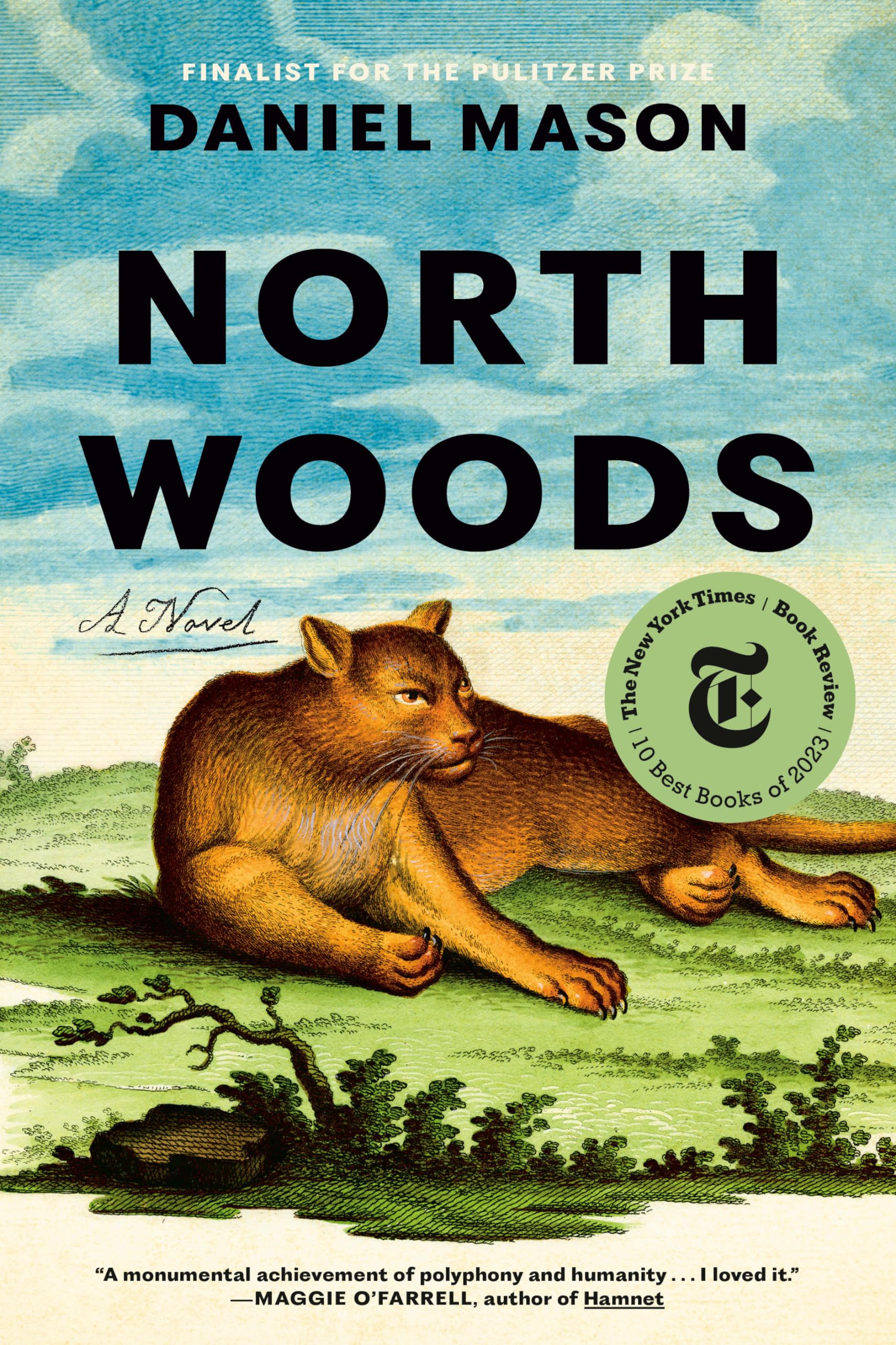 McAuliffe Book Discussion (Morning): North Woods by Daniel Mason thumbnail Photo