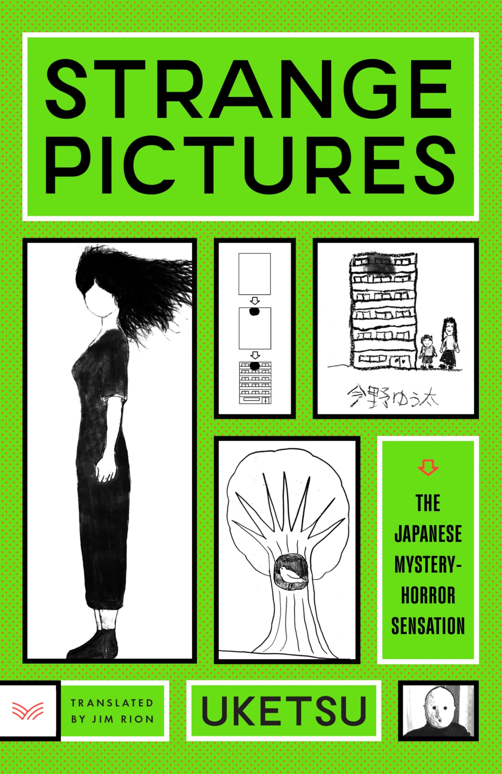 McAuliffe Book Discussion (Morning): Strange Pictures by Ukestu thumbnail Photo