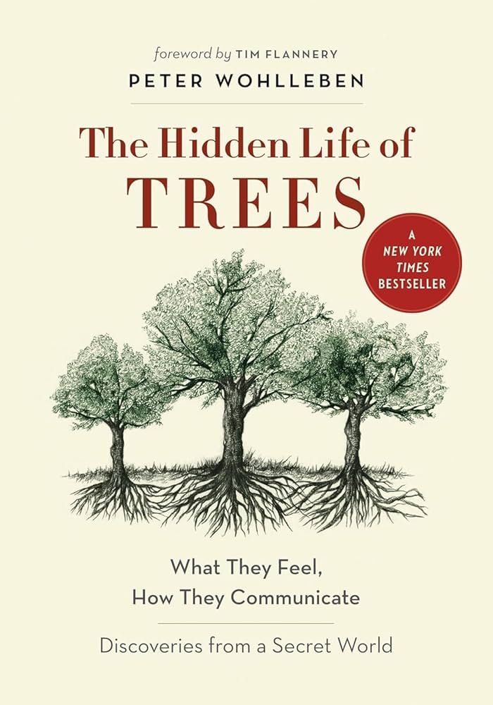 McAuliffe Book Discussion (Evening): The Hidden Life of Trees by Peter Wohlleben thumbnail Photo