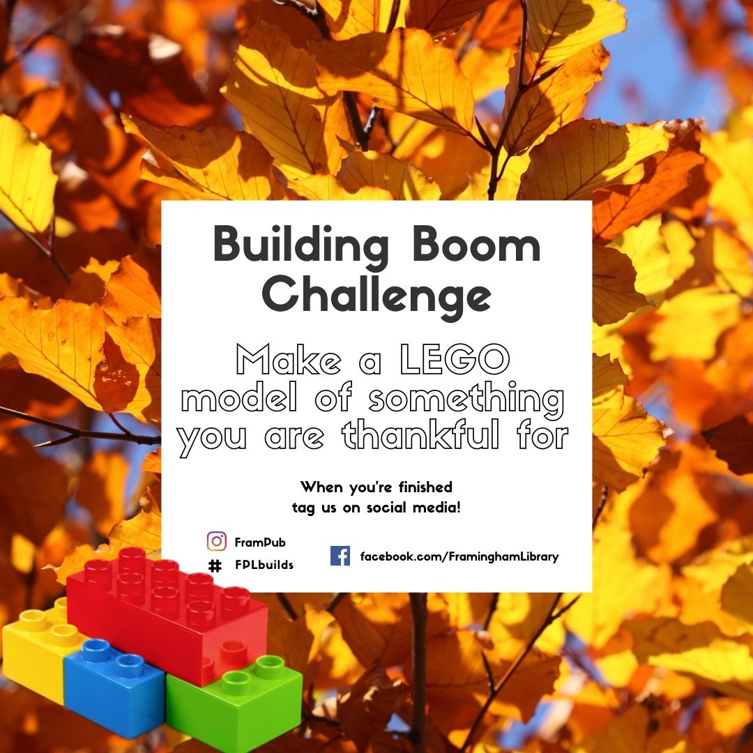 Building Boom Challenge: Make a LEGO something out of something you are thankful for. When you are finished, tag us on social media at #frampub #fplreads