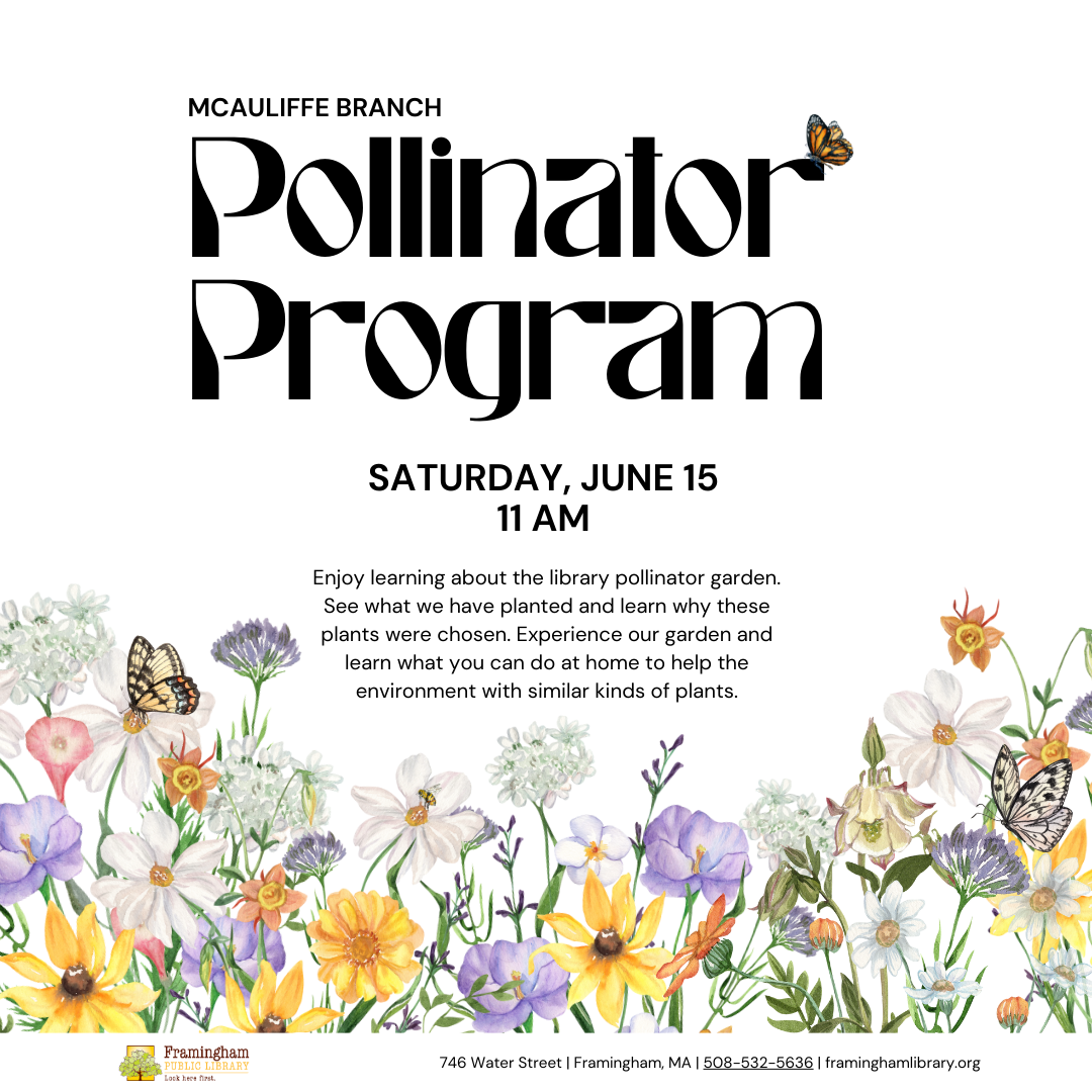 McAuliffe June Pollinator Program thumbnail Photo
