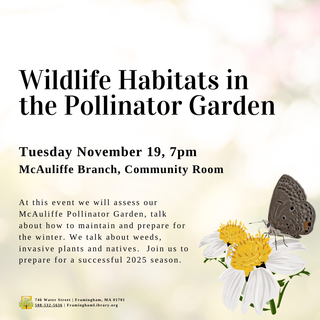 Wildlife Habitats in the Pollinator garden thumbnail Photo