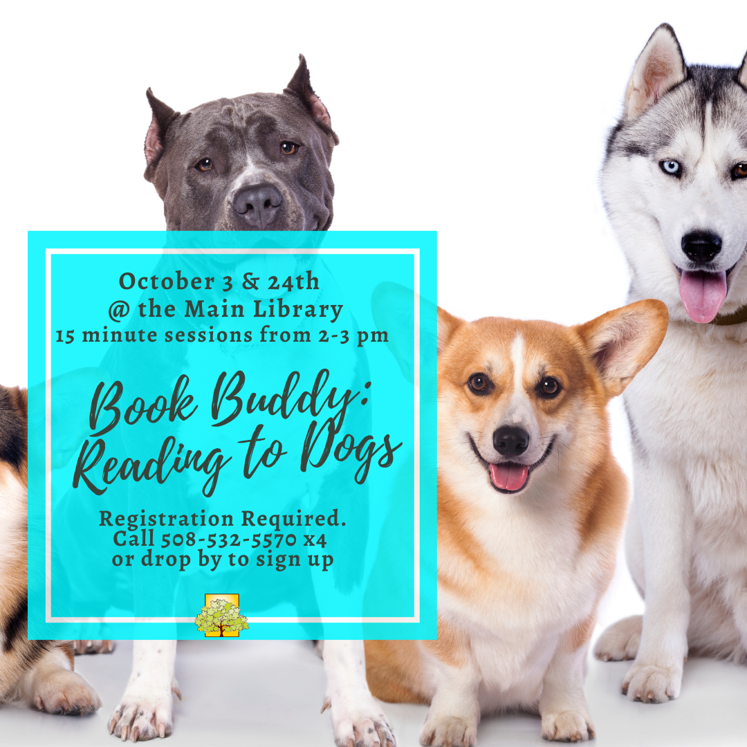 Book Buddy: Reading to Dogs RETURNS IN PERSON thumbnail Photo