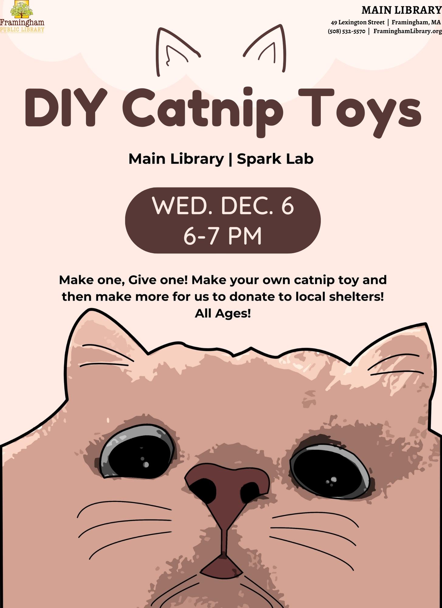 DIY Catnip Toys thumbnail Photo