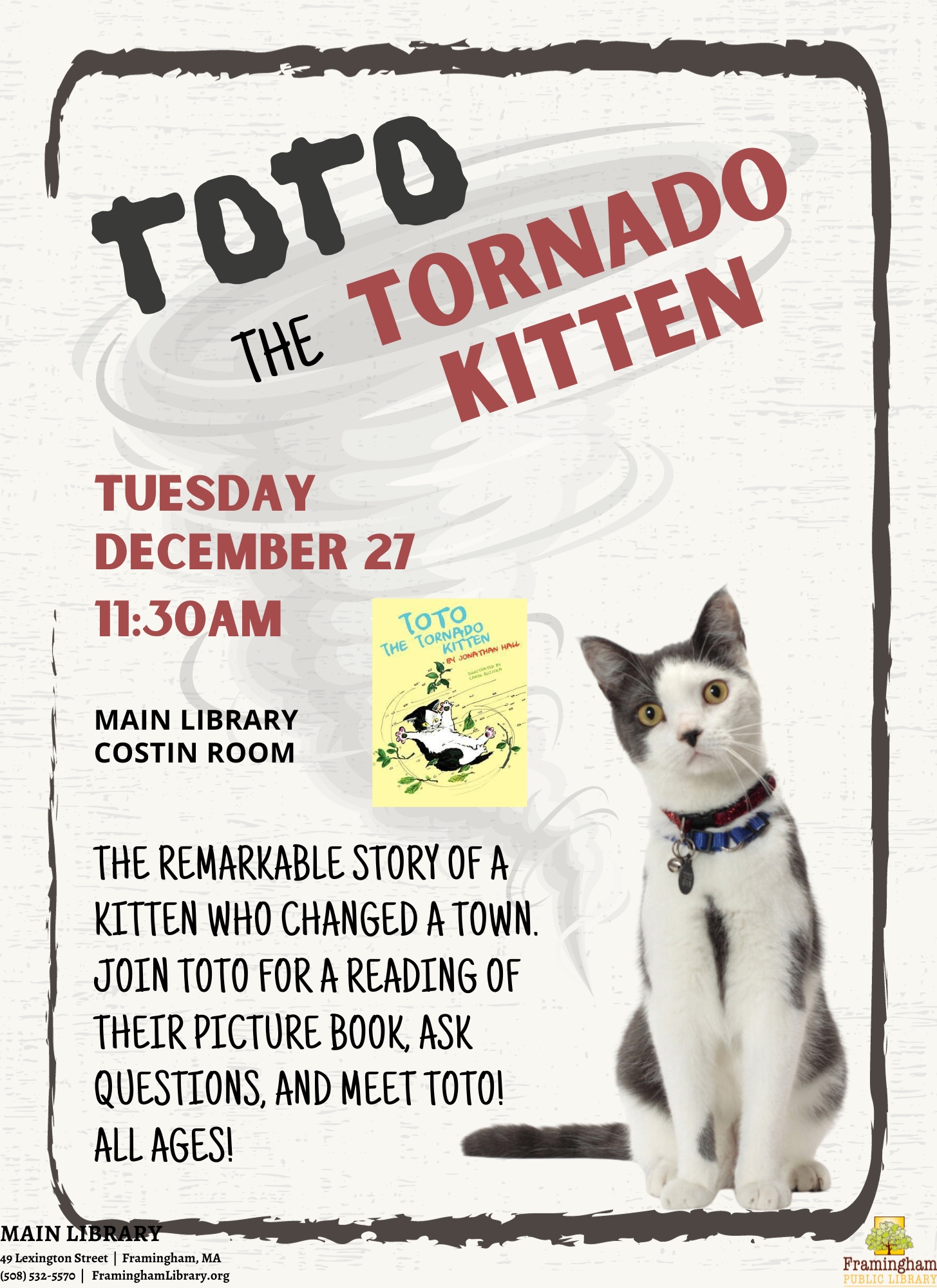 Toto the Tornado Kitten thumbnail Photo
