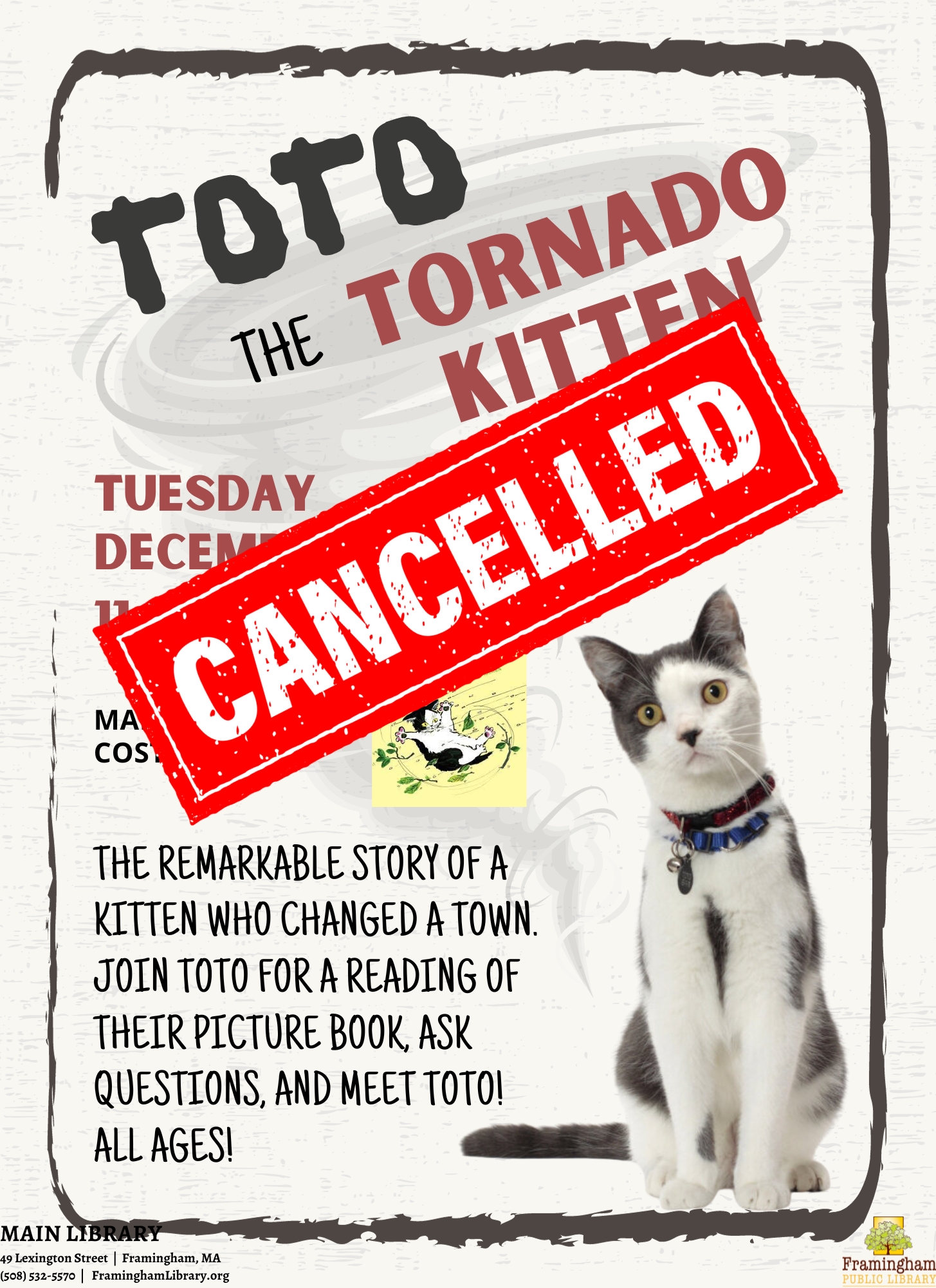 Toto the Tornado Kitten [EVENT CANCELLED] thumbnail Photo