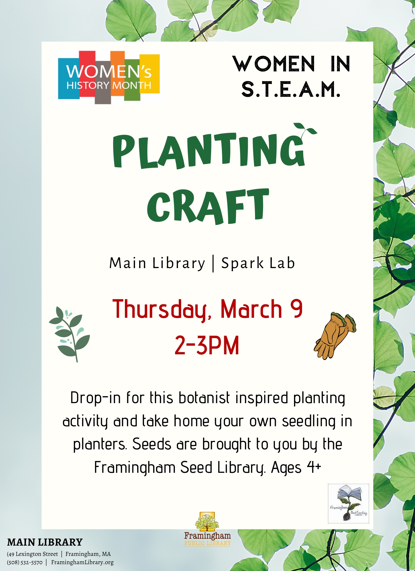 Women in S.T.E.A.M: Planting Craft thumbnail Photo