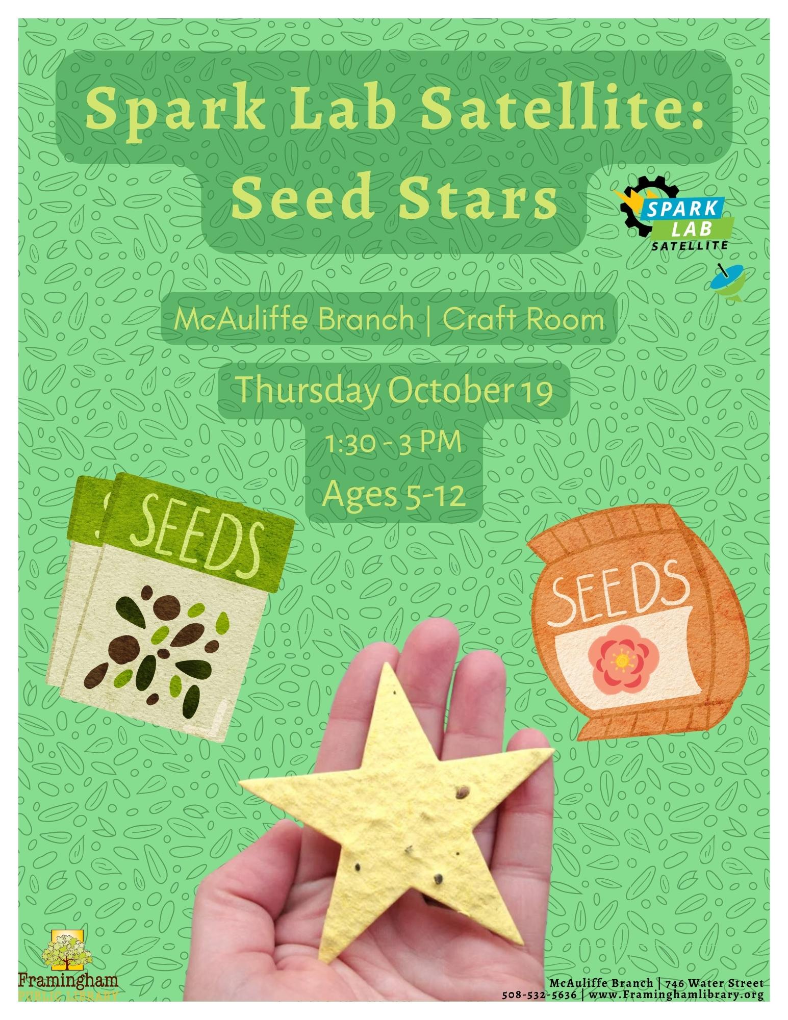 Spark Lab Satellite: Seed Stars thumbnail Photo