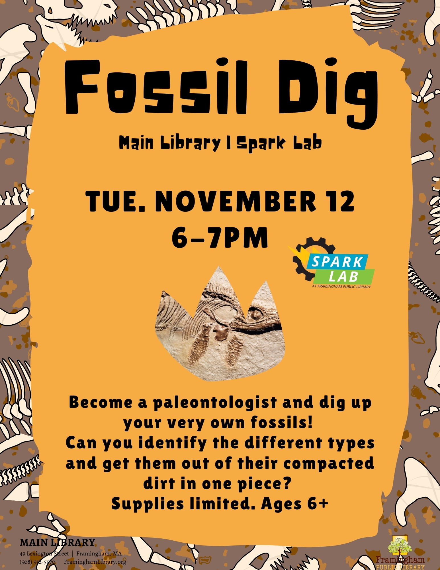 Fossil Dig thumbnail Photo