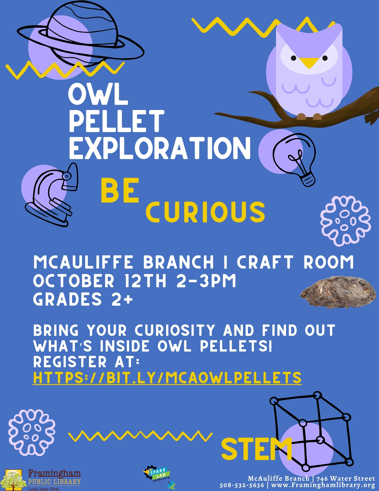 Owl Pellet Exploration thumbnail Photo