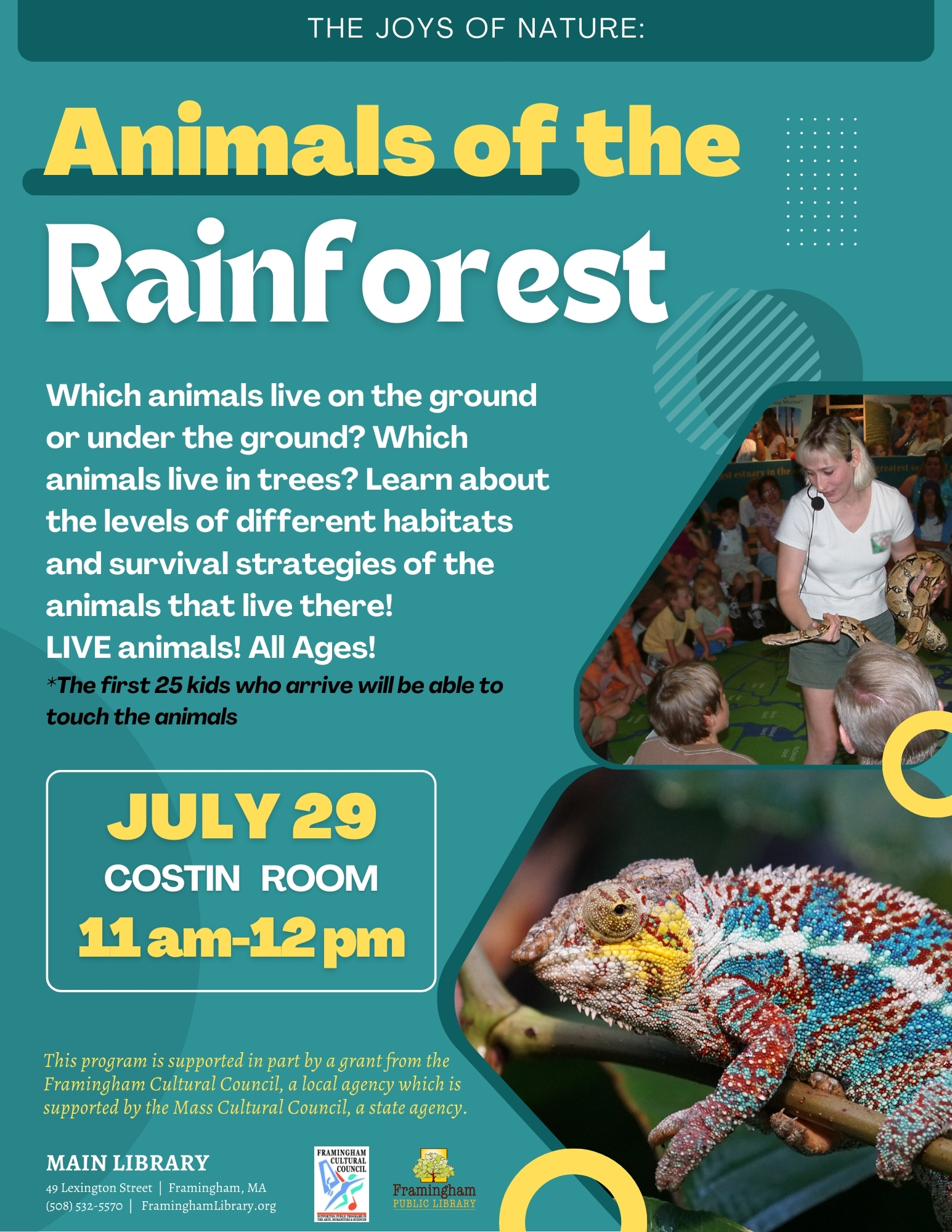The Joys of Nature Presents: Animals of the Rainforest thumbnail Photo