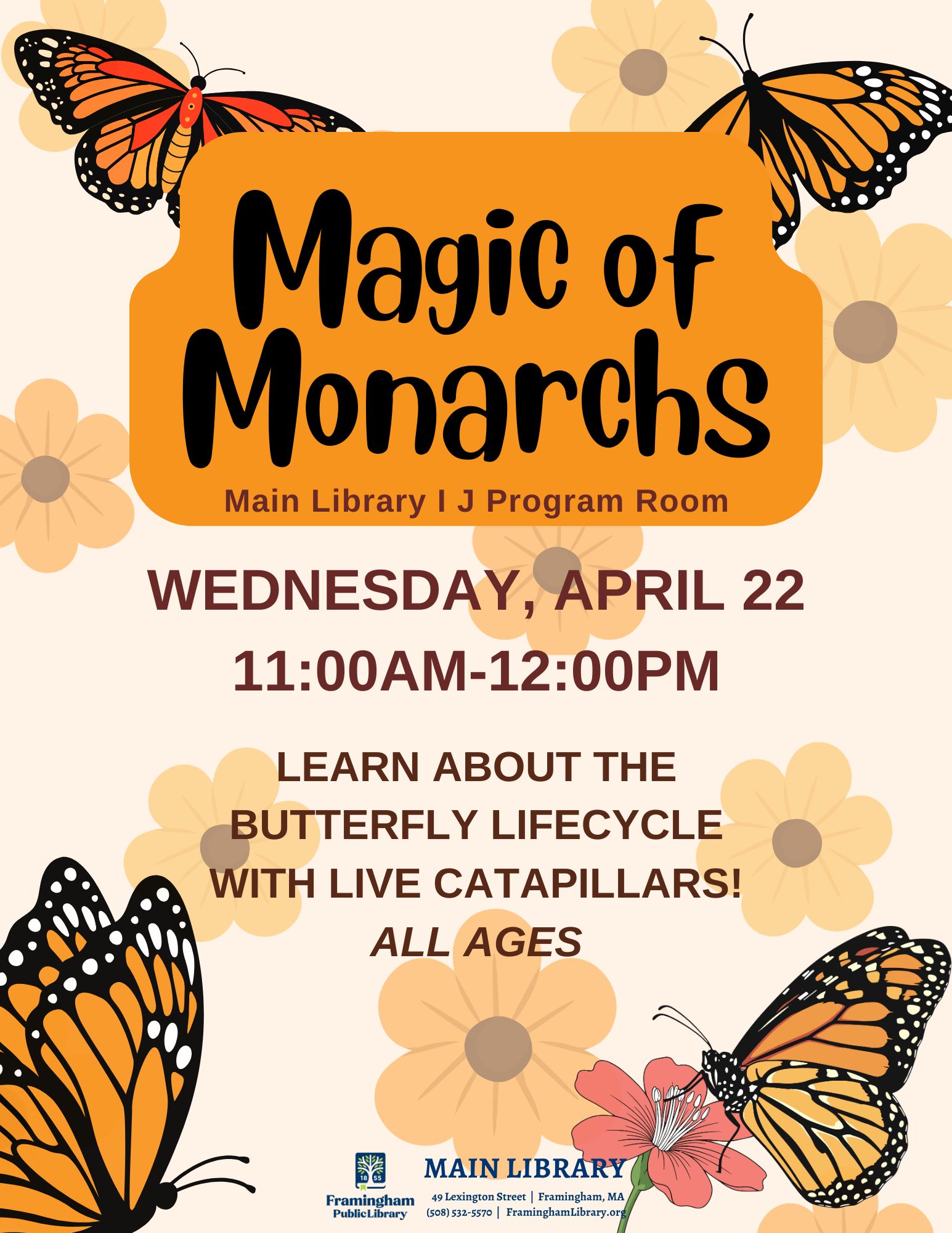 Magic of Monarchs thumbnail Photo