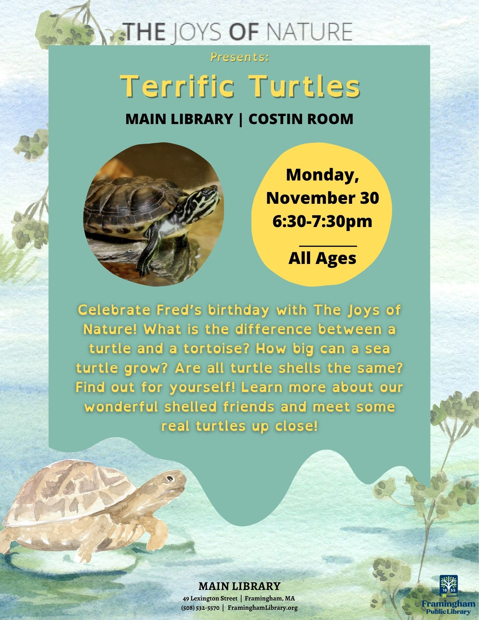 The Joys of Nature presents: Terrific Turtles! thumbnail Photo