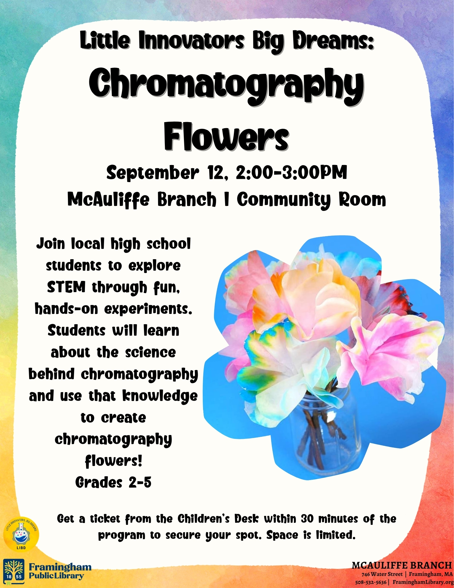 Little Innovators, Big Dreams: Chromatography Flowers thumbnail Photo