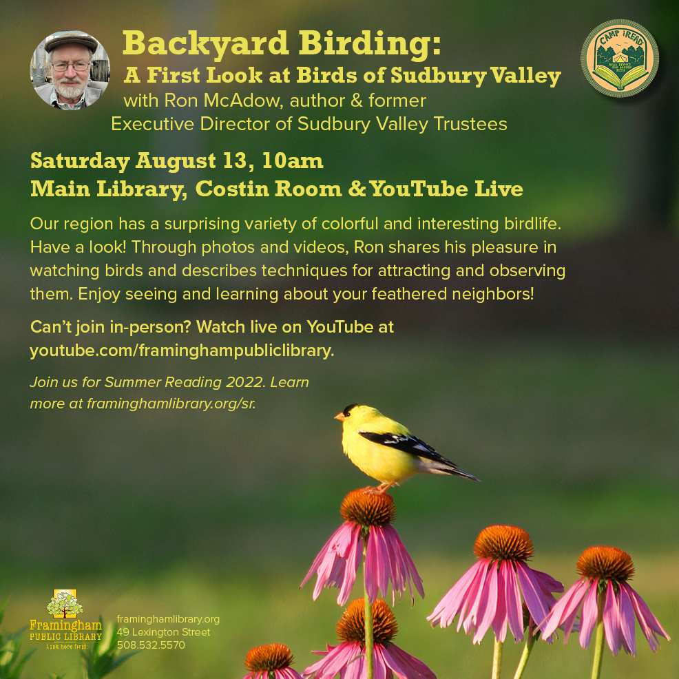 Backyard Birding: A First Look at Birds of Sudbury Valley thumbnail Photo