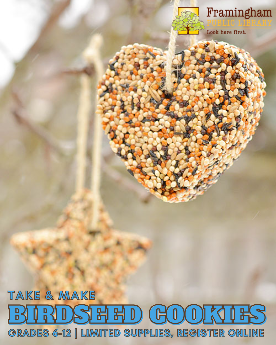 Birdseed Cookies Take & Make kit thumbnail Photo