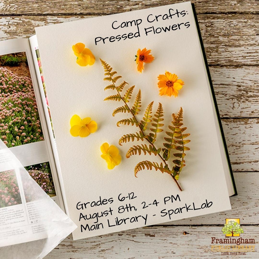 Camp Crafts: Pressed Flowers thumbnail Photo