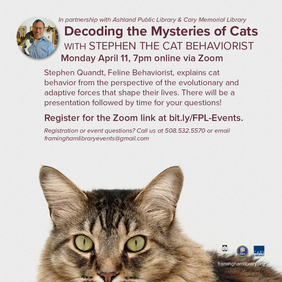“Decoding the Mysteries of Cats” with Stephen the Cat Behaviorist thumbnail Photo