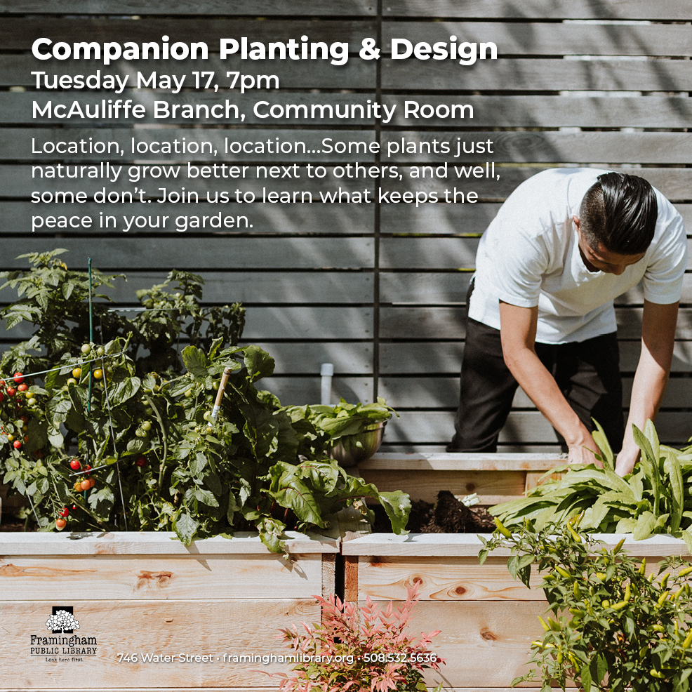 Companion Planting & Design thumbnail Photo