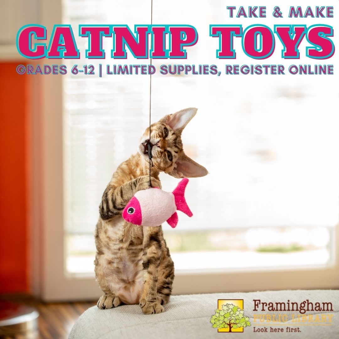 Catnip Toy Take & Make Kit thumbnail Photo