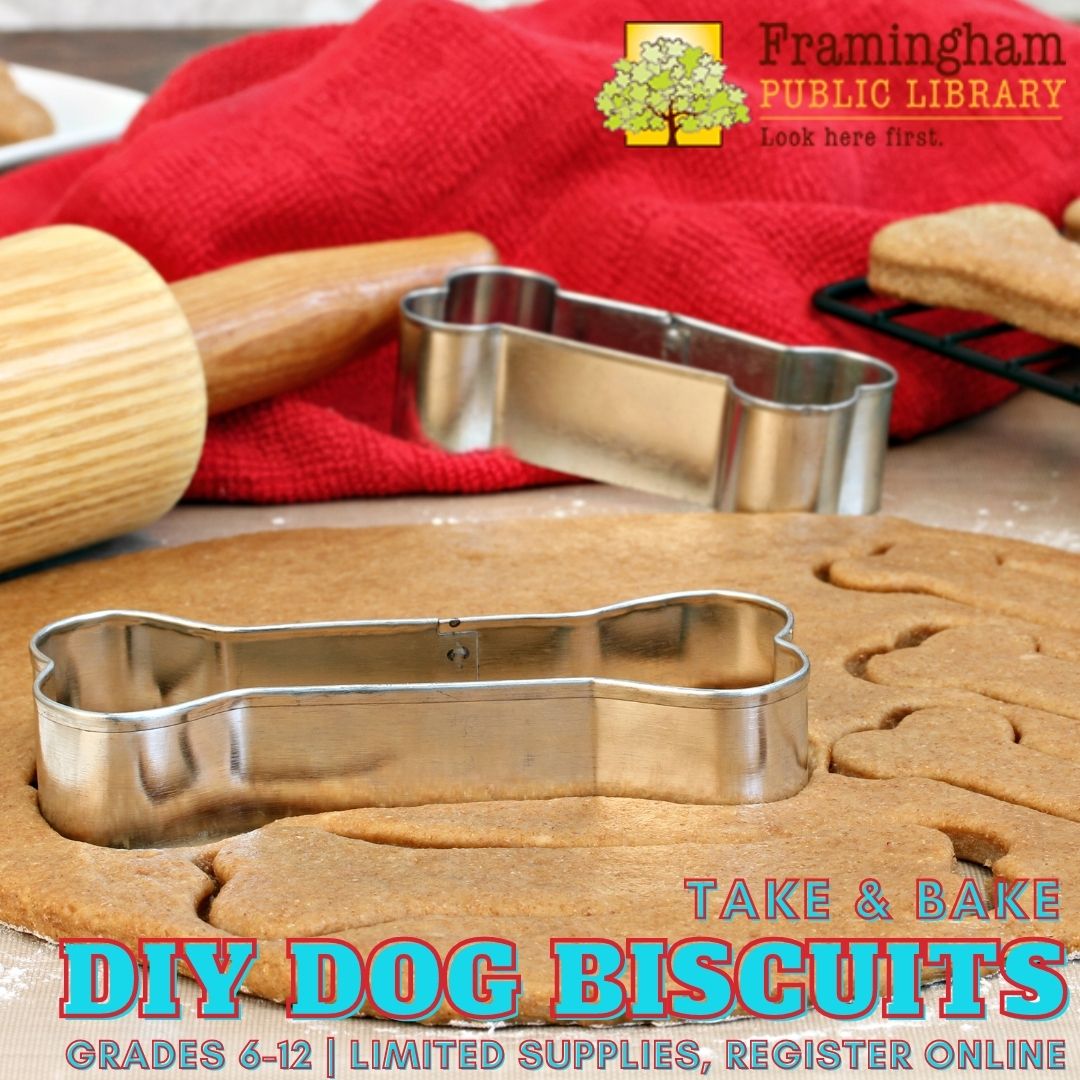 DIY Dog Biscuit Take & Bake Kit thumbnail Photo