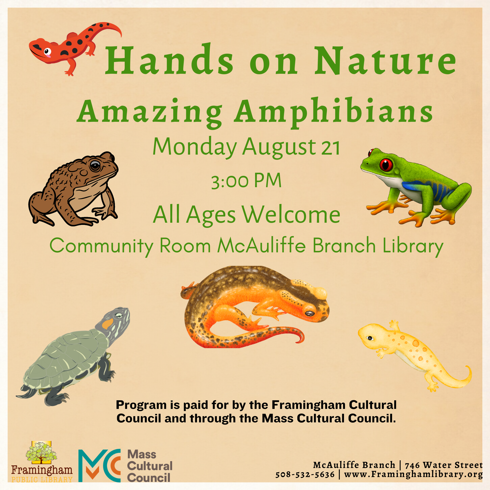 Hands On Nature Amazing Amphibians thumbnail Photo