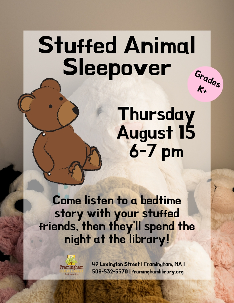 Stuffed Animal Sleepover thumbnail Photo