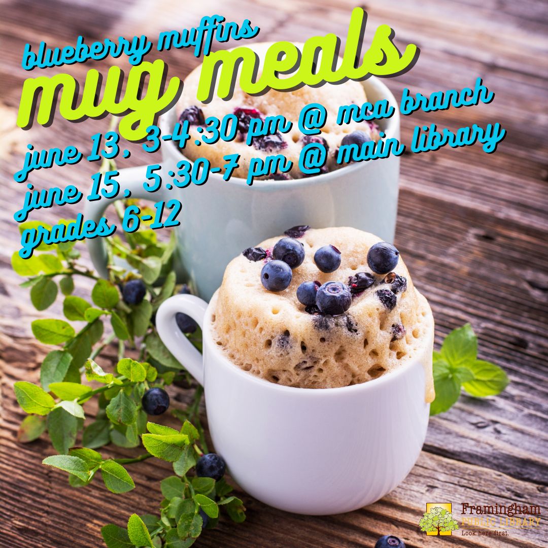 Mug Meals @ Main Library - Blueberry Muffins thumbnail Photo