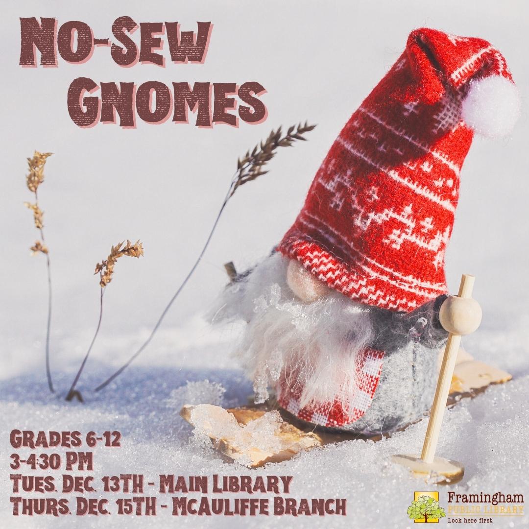 No-Sew Gnomes @ McAuliffe Branch thumbnail Photo