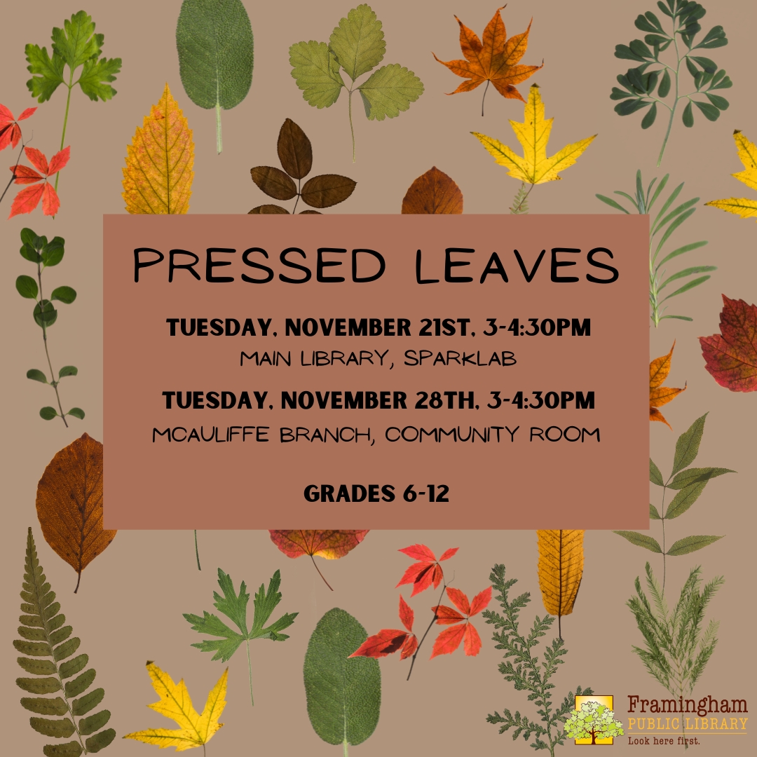 Pressed Leaves @ Main Library thumbnail Photo