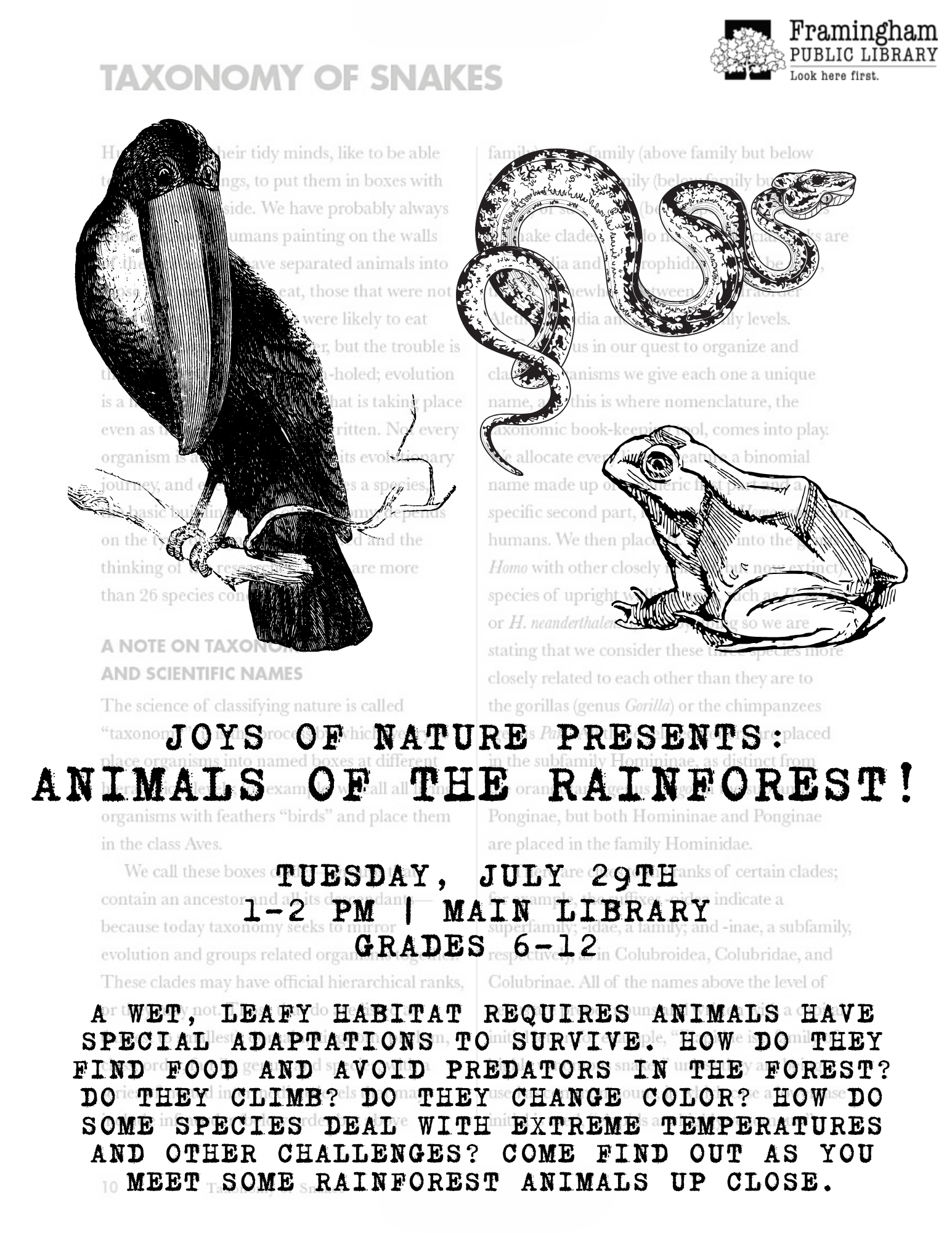 Animals of the Rainforest thumbnail Photo