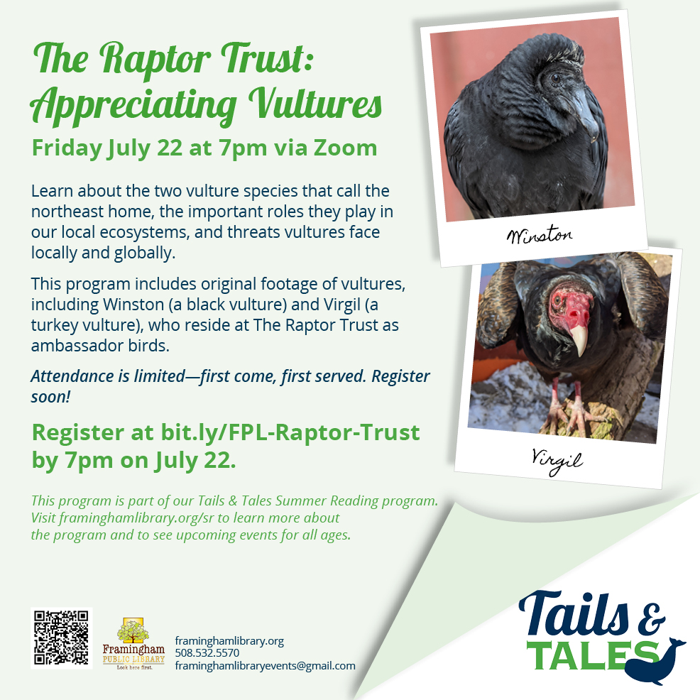 The Raptor Trust: Appreciating Vultures thumbnail Photo