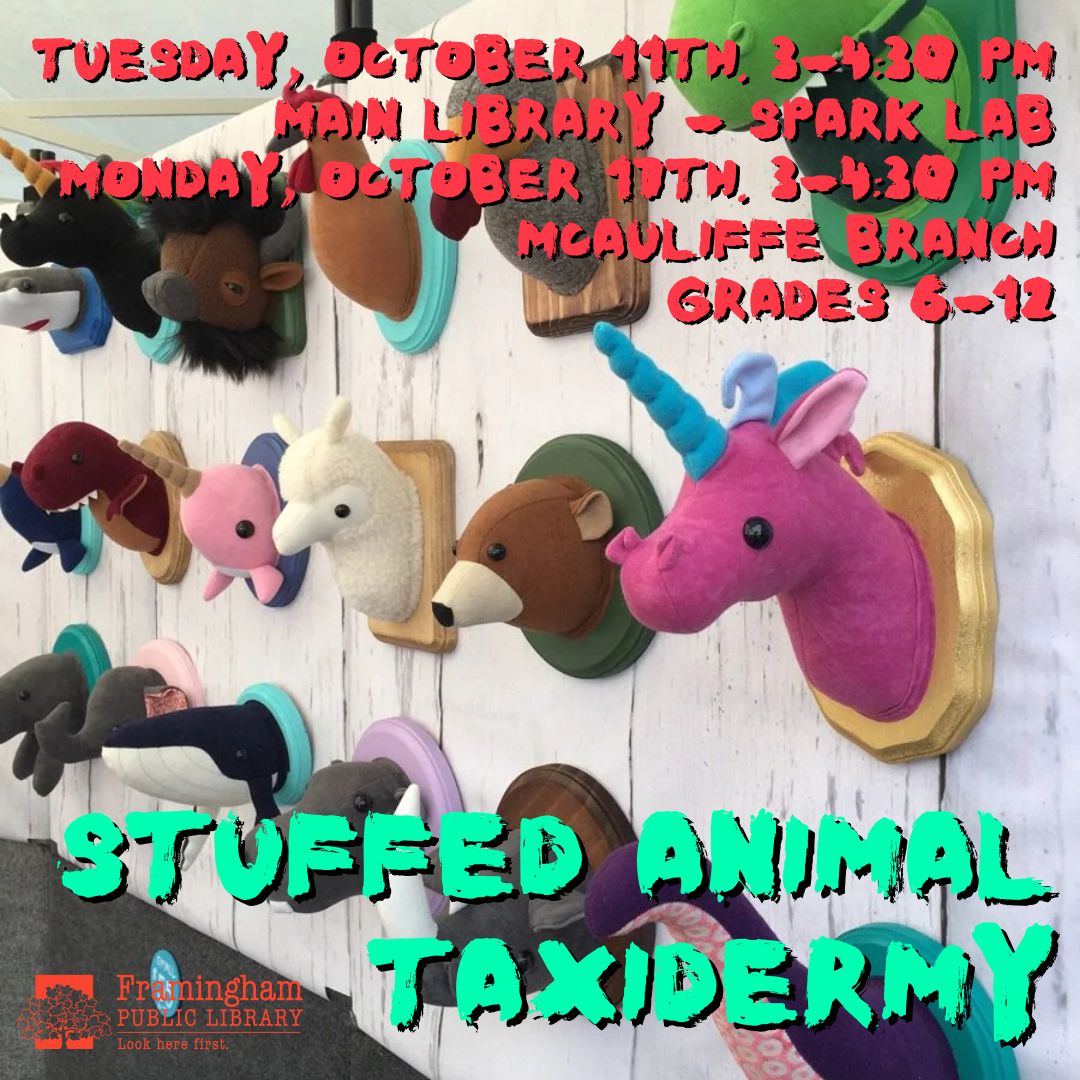 Stuffed Animal Taxidermy (McAuliffe Branch) thumbnail Photo