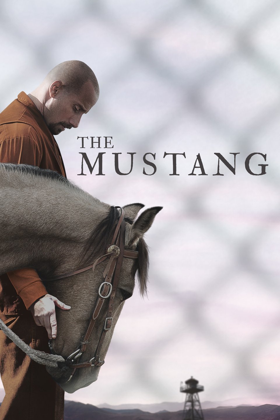 Friday Night Flick: The Mustang thumbnail Photo