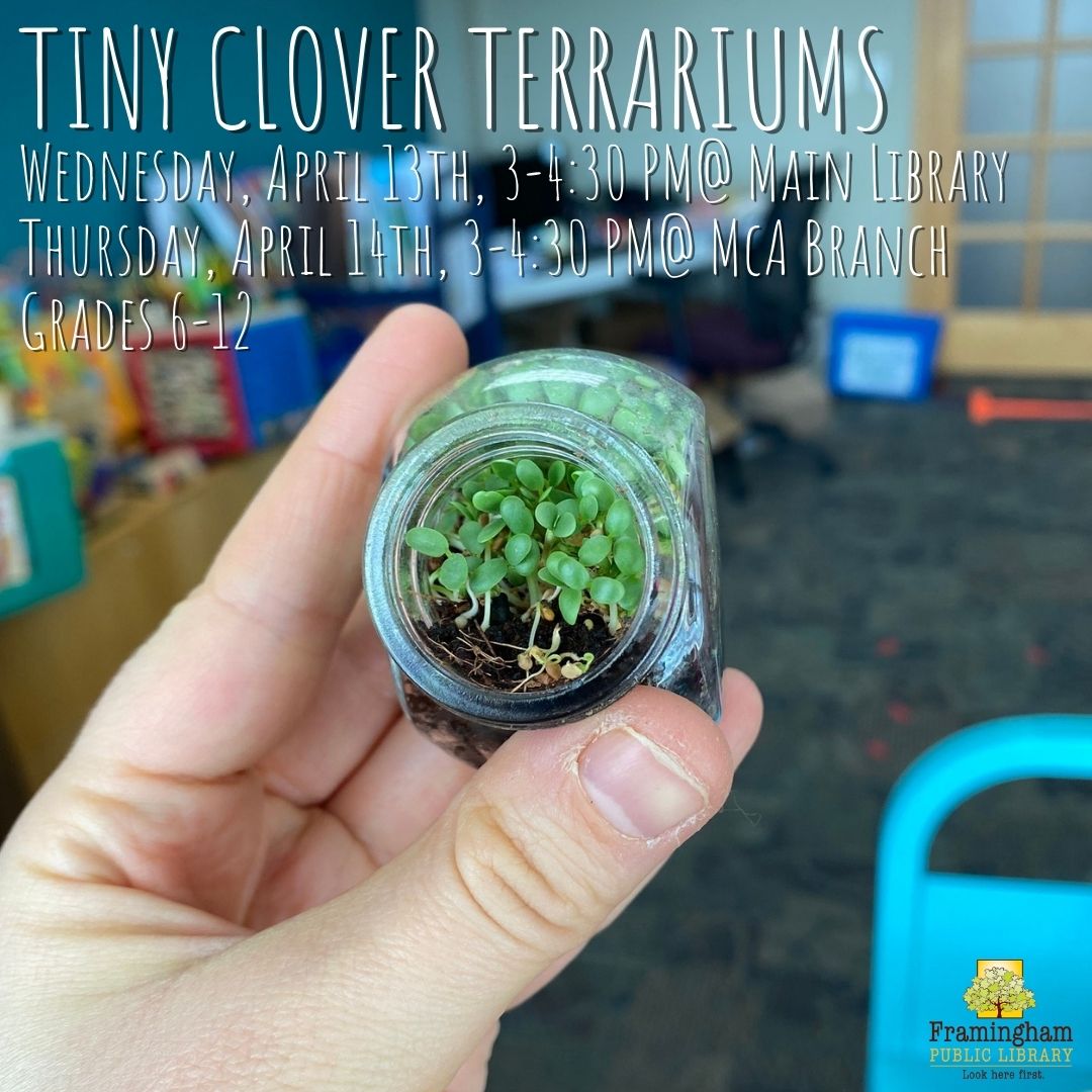 Tiny Clover Terrariums (Take & Make kit) thumbnail Photo