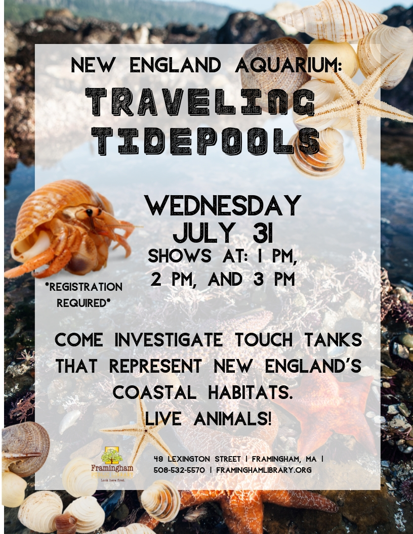 New England Aquarium Traveling Tidepools thumbnail Photo