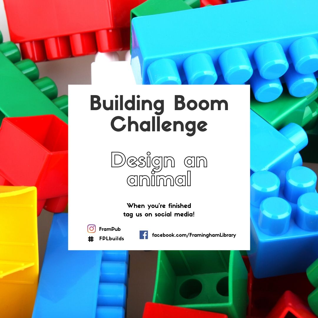 Building Boom Challenge text reads design an animal