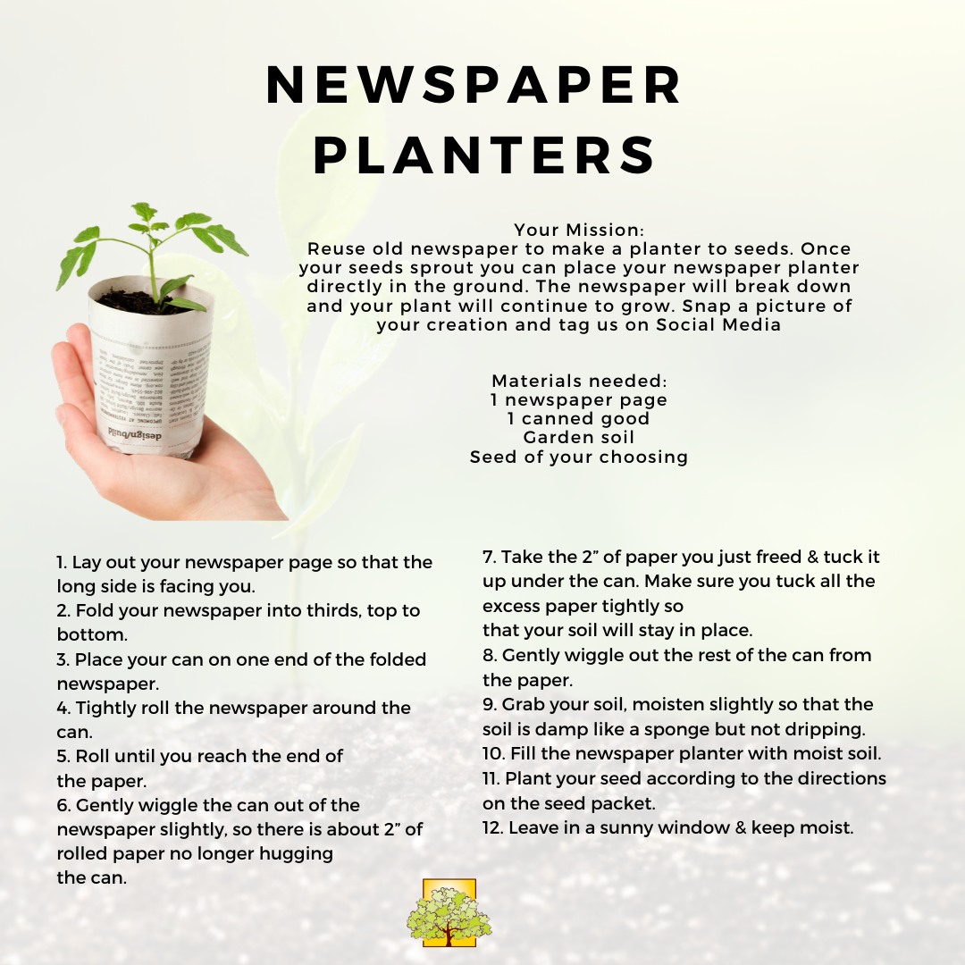 Text on image reads Newspaper planters. Reuse old newspaper to make a planter to seeds. Once your seeds sprout you can place your newspaper planter directly in the ground. The newspaper will break down and your plant will continue to grow. Snap a picture of your creation and tag us on Social Media. Materials needed: 1 newspaper page 1 canned good Garden soil Seed of your choosing.1. Lay out your newspaper page so that the long side is facing you. 2. Fold your newspaper into thirds, top to bottom. 3. Place your can on one end of the folded newspaper. 4. Tightly roll the newspaper around the can. 5. Roll until you reach the end of the paper. 6. Gently wiggle the can out of the newspaper slightly, so there is about 2” of rolled paper no longer hugging the can.  7. Take the 2” of paper you just freed & tuck it up under the can. Make sure you tuck all the excess paper tightly so that your soil will stay in place. 8. Gently wiggle out the rest of the can from the paper. 9. Grab your soil, moisten slightly so that the soil is damp like a sponge but not dripping. 10. Fill the newspaper planter with moist soil. 11. Plant your seed according to the directions on the seed packet. 12. Leave in a sunny window & keep moist.