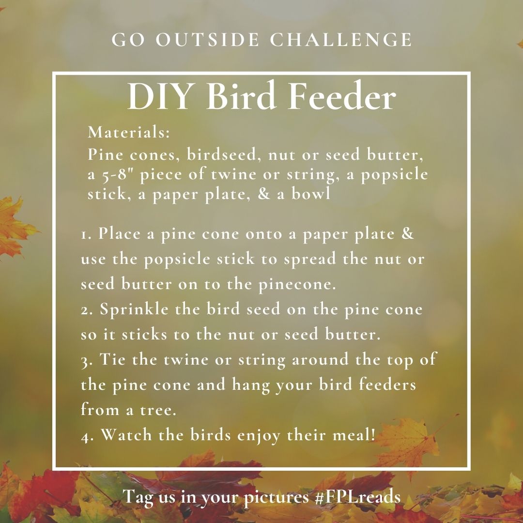 Go Outside challenge: DIY Bird Feeder. Materials: Pine cones, birdseed, nut or seed butter, a 5-8