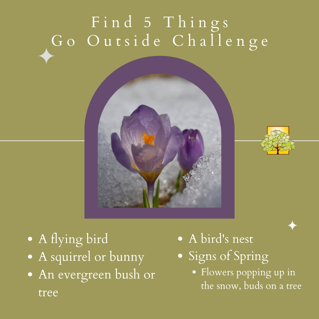 Go Outside Challenge: Find 5 things: a flying bird, a squirrel or bunny, an evergreen tree, a bird's nest, signs of spring