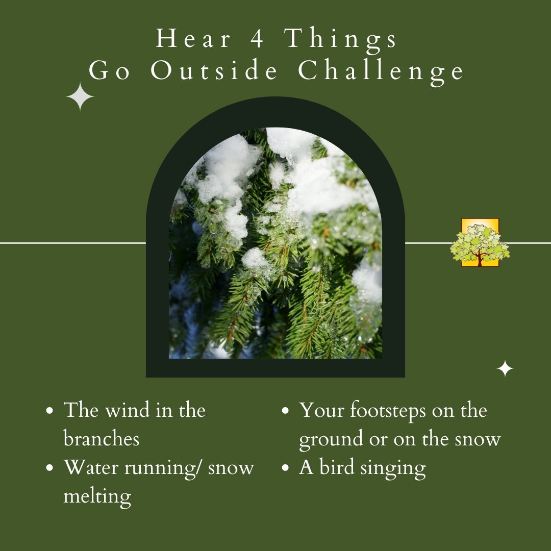 Go Outside Challenge: Hear 5 things: the wind in the branches, water running or snow melting, your footsteps on the ground or in snow, a bird singing