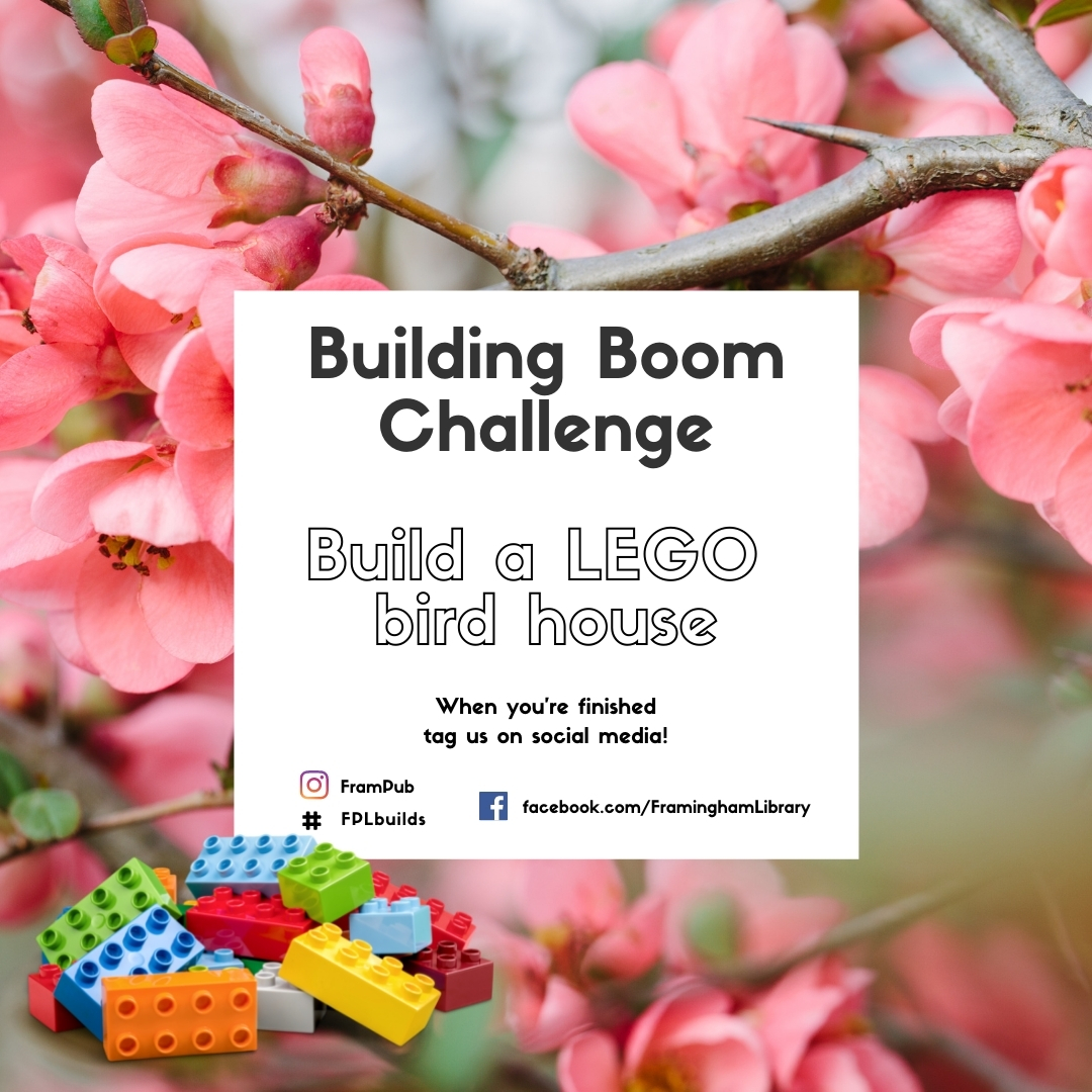 Building Boom Challenge Build a LEGO bird house. When you are finished, tag us on social media at #frampub #fplreads