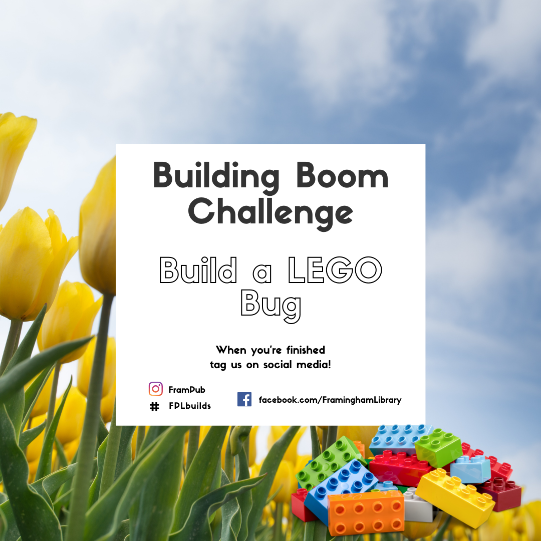 Building Boom Challenge: Build a LEGO bug. When you are finished, tag us on social media at #frampub #fplreads