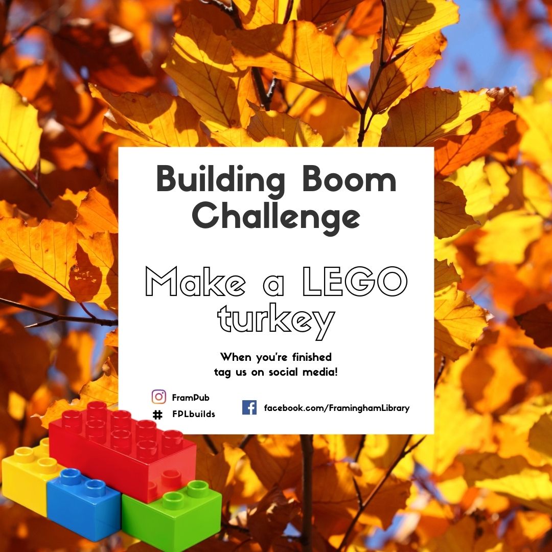 Building Boom Challenge: Make a Lego turkey. When you are finished, tag us on social media at #frampub #fplreads