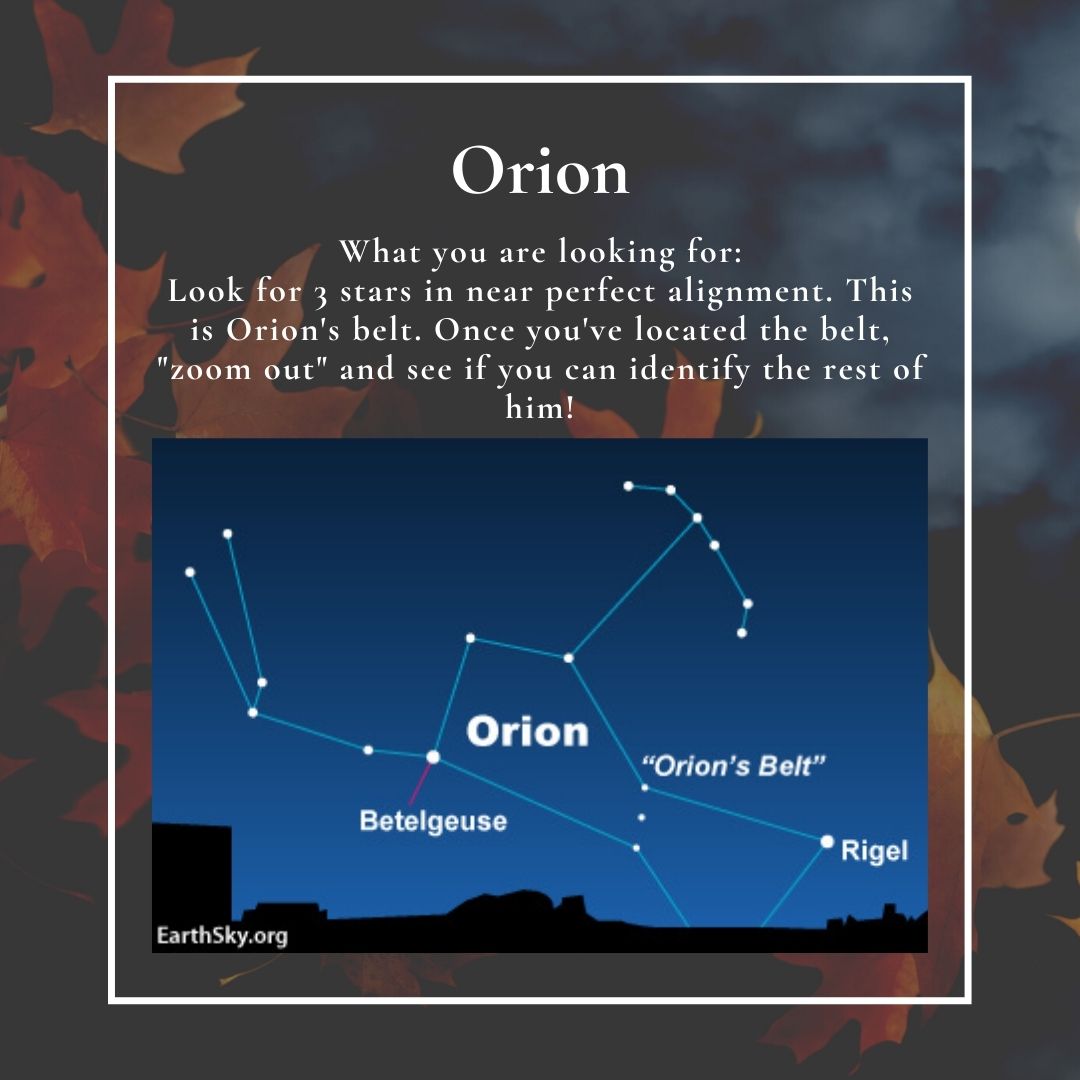 Go Outside Night time challenge: Orion. What you are looking for: Look for 3 stars in near perfect aliment. This is Orion's belt. Once you've located the belt, 