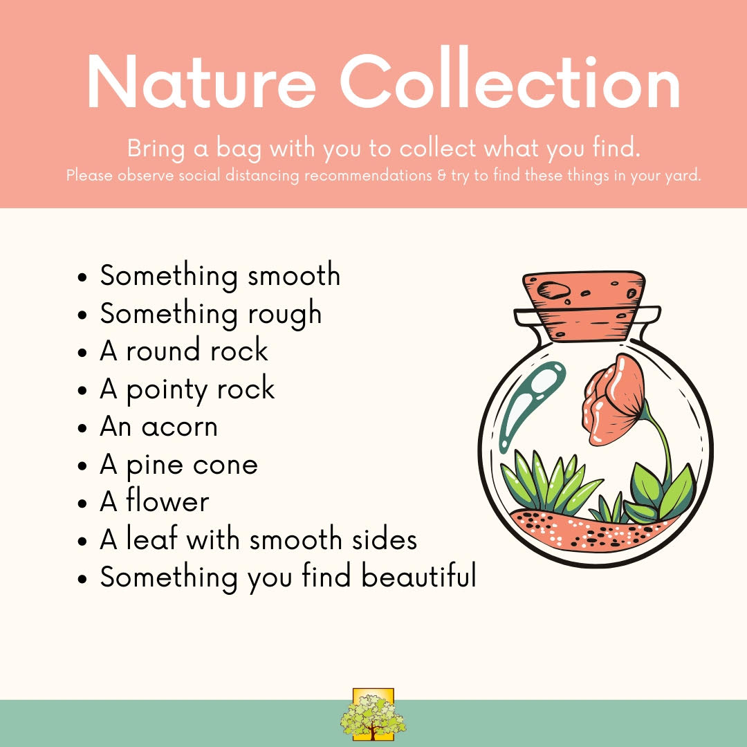Text reads nature collection. Bring a bag with you to collect whatever you find. Find the following: something smooth, rough, a round rock, a pointy rock, an acorn, a flower, a pine cone, a leaf with a smooth side, something you find beautiful.